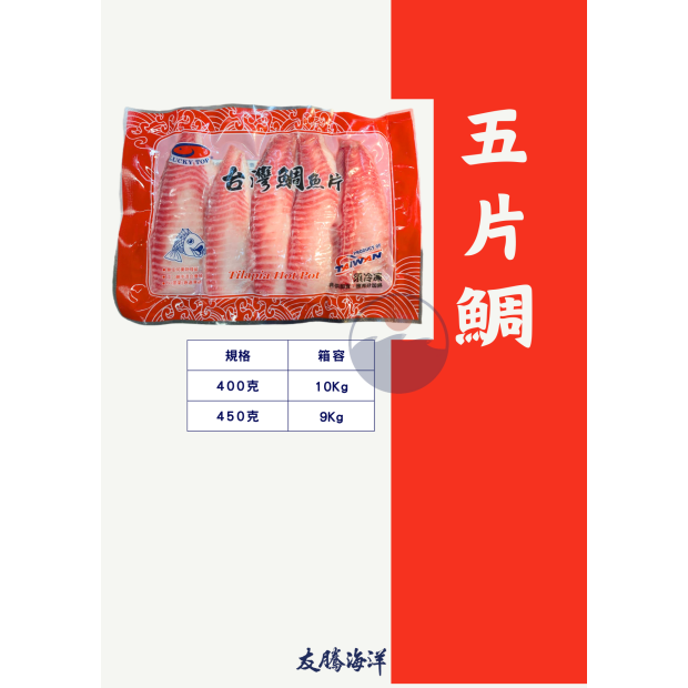 鯛魚規格.png